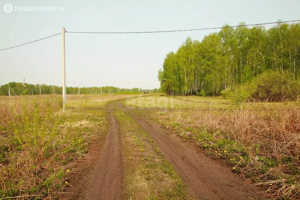 Купить Участок В Заводоуковске Недорого