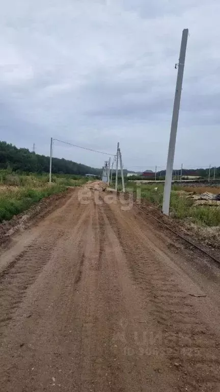 Участок в Амурская область, Благовещенский район, с. Чигири  (8.0 ... - Фото 1