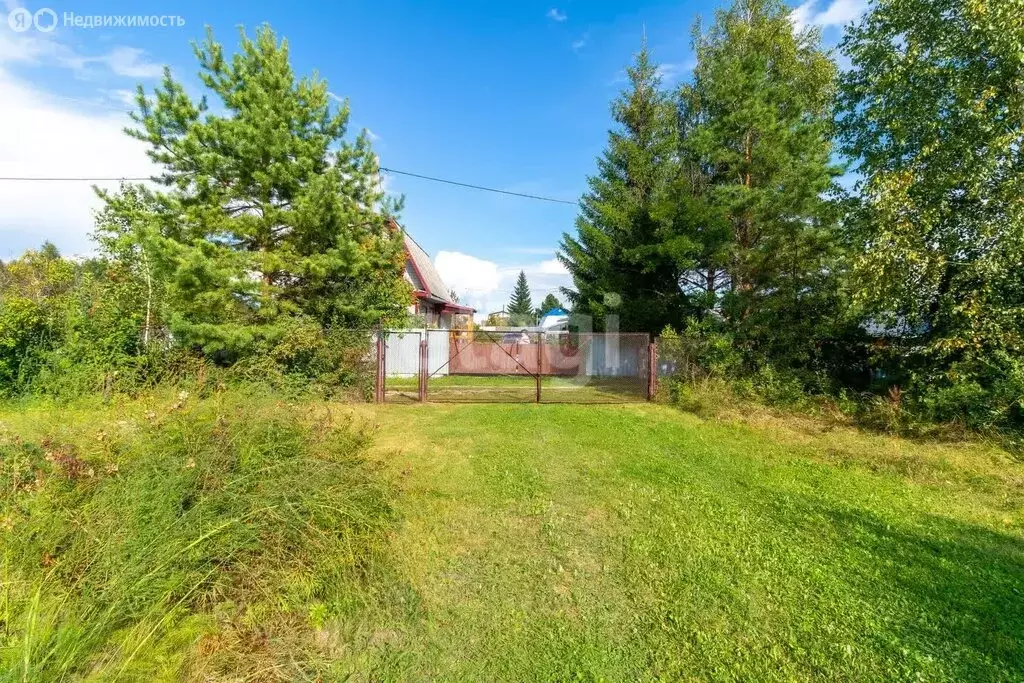 Участок в Тюмень, садовое товарищество Липовый Остров, 11-я Восточная ... - Фото 2