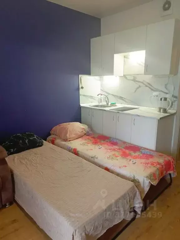 Студия Санкт-Петербург ул. Крыленко, 1к1с1 (20.0 м) - Фото 1
