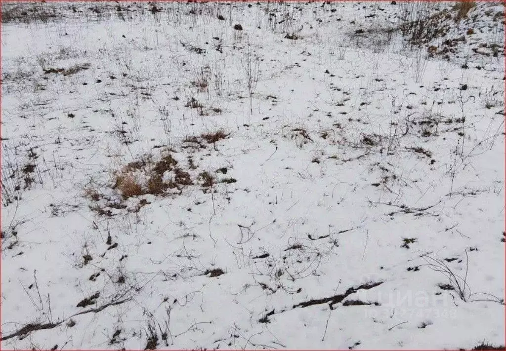 Участок в Орловская область, Орловский район, с. Альшань  (6.1 сот.) - Фото 1