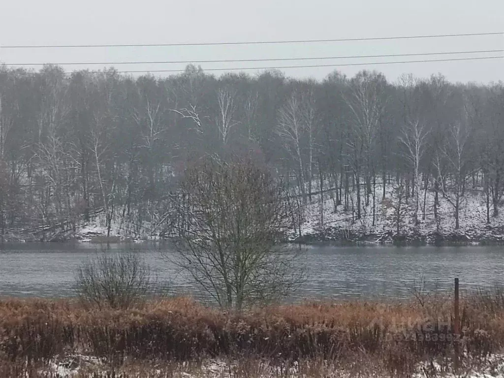 Дом в Курская область, Железногорский район, Разветьевский сельсовет, ... - Фото 2