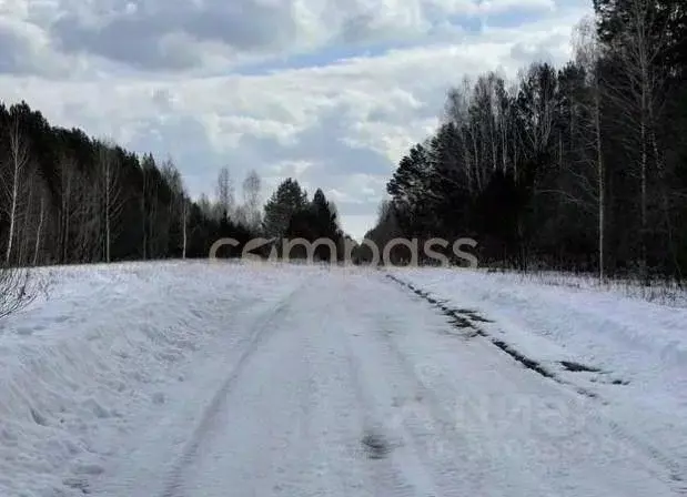 Участок в Тюменская область, Нижнетавдинский район, д. Красный Яр  ... - Фото 0