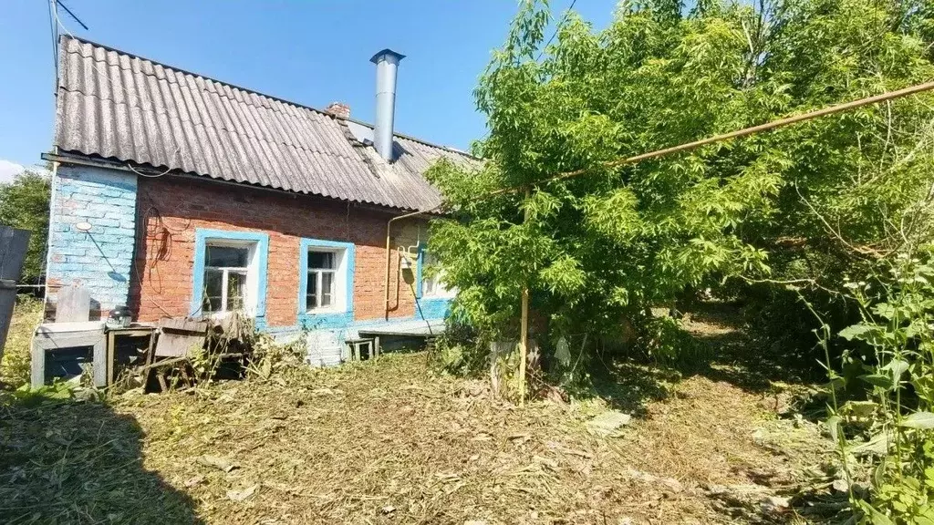 Дом в Тульская область, Новомосковск городской округ, д. Хмелевка 40 ... - Фото 1
