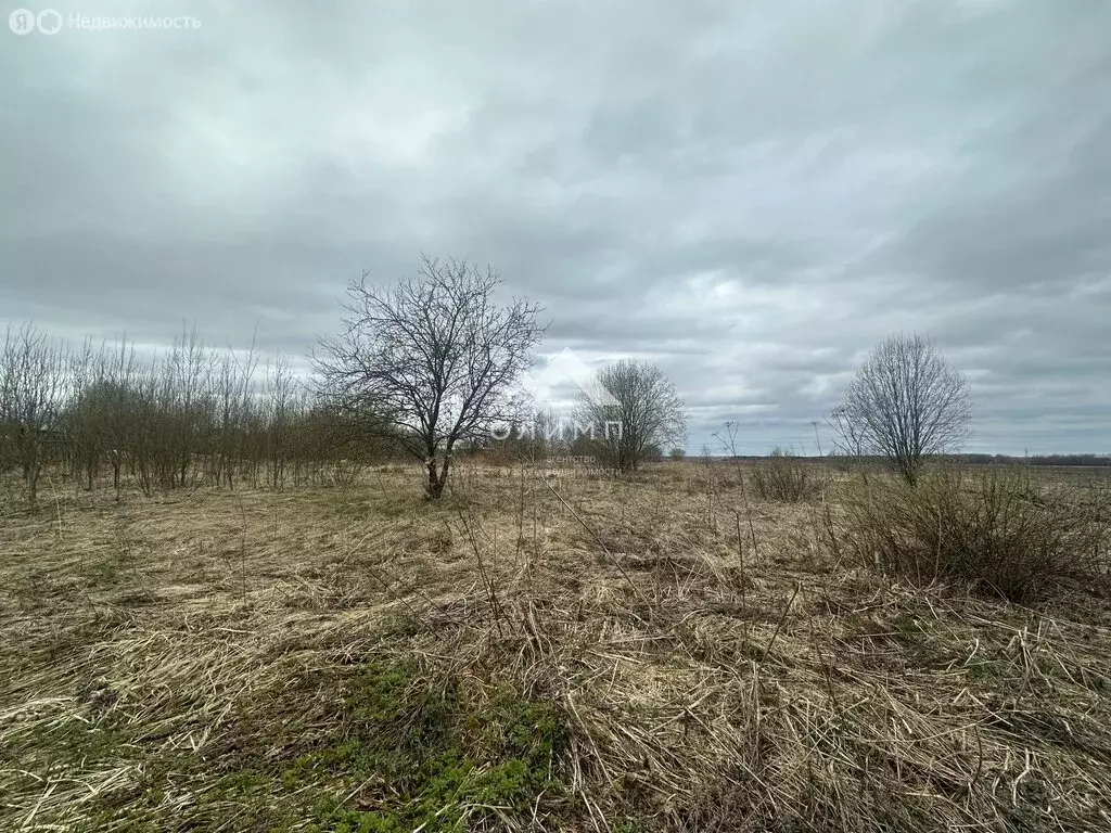 Участок в Ярославский муниципальный округ, село Андроники (1491 м) - Фото 1