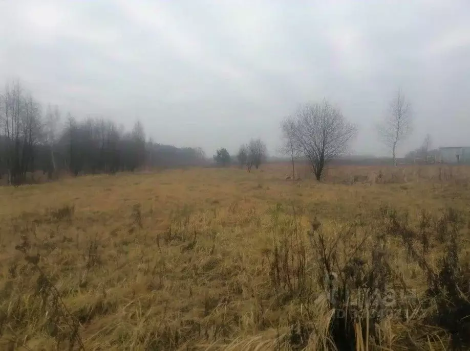 Участок в Московская область, Серпухов городской округ, д. Семеновское ... - Фото 2