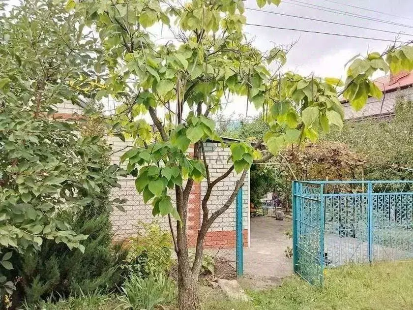 Дом в Воронежская область, Воронеж ул. Аэродромная, 35 (37 м) - Фото 1