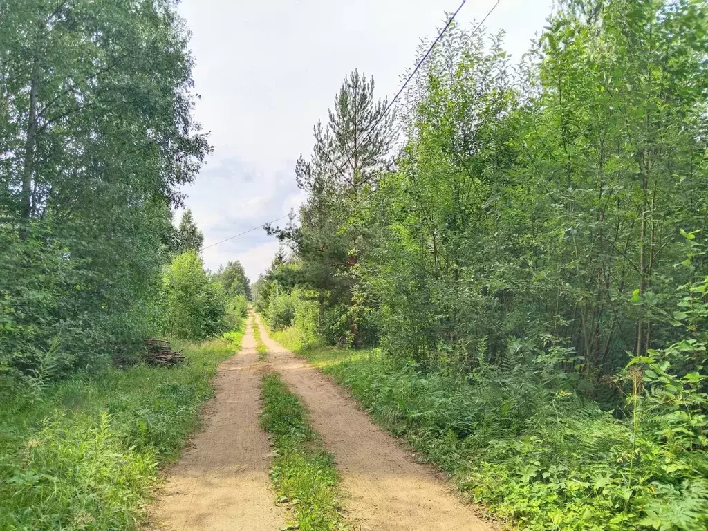 Участок в Ленинградская область, Кировский район, Мгинское городское ... - Фото 1