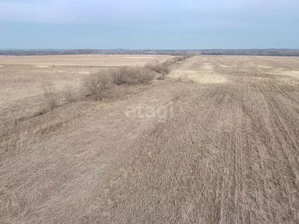 Участок в Хабаровский край, Хабаровский район, с. Гаровка-2 18А (10.0 ... - Фото 1