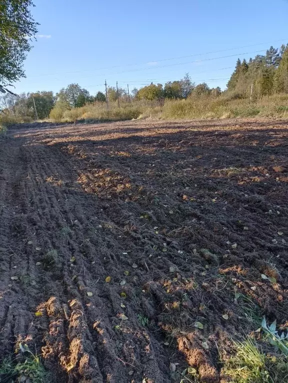 Участок в Ленинградская область, Тихвинский район, Мелегежское с/пос, ... - Фото 2