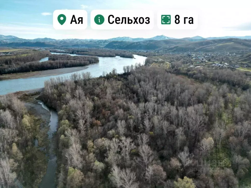 Участок в Алтайский край, Алтайский район, Айский сельсовет, с. Ая ул. ... - Фото 1