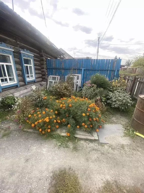 Дом в Новосибирская область, Искитим Кооперативная ул., 13 (40 м) - Фото 1