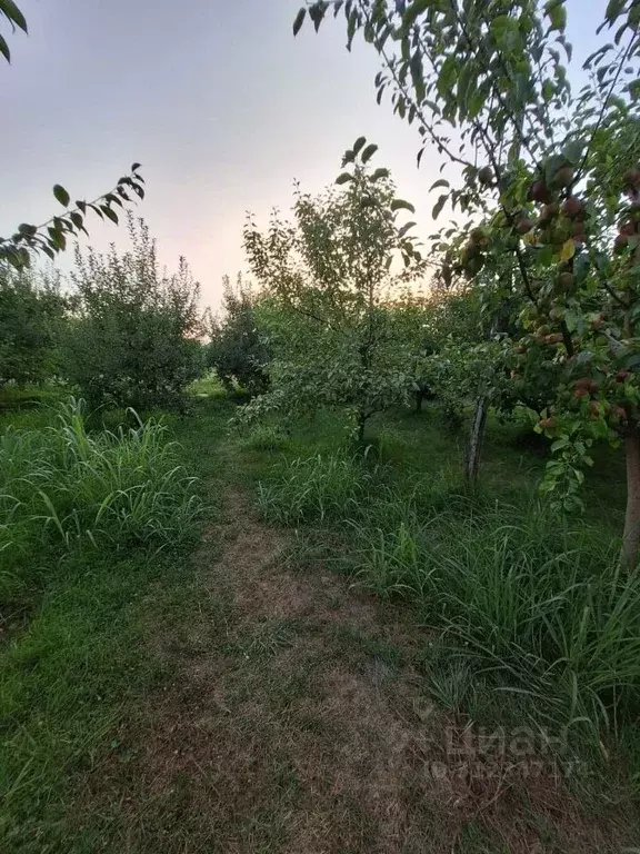 Участок в Кабардино-Балкария, Урванский район, с. Урвань ул. Мысостей ... - Фото 0