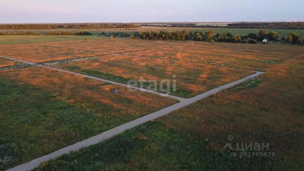 Участок в Ярославская область, Ярославский район, Кузнечихинское ... - Фото 1