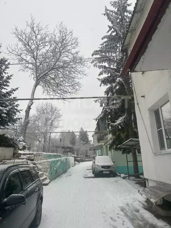 3-к кв. Крым, Симферопольский район, Перовское с/пос, с. Залесье ул. ... - Фото 2