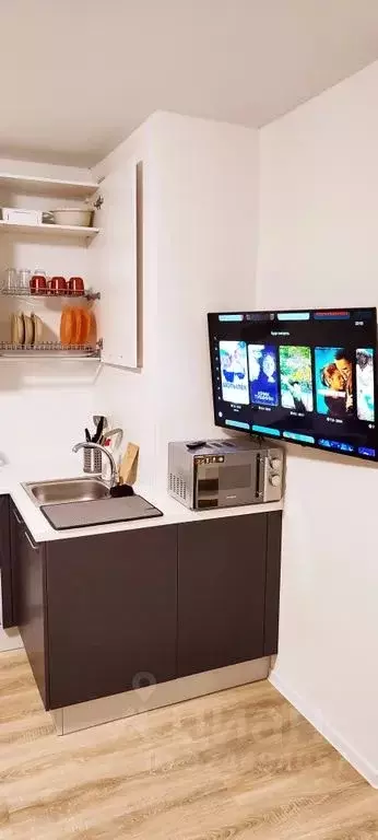 Студия Московская область, Ленинский городской округ, Мисайлово пгт ... - Фото 1