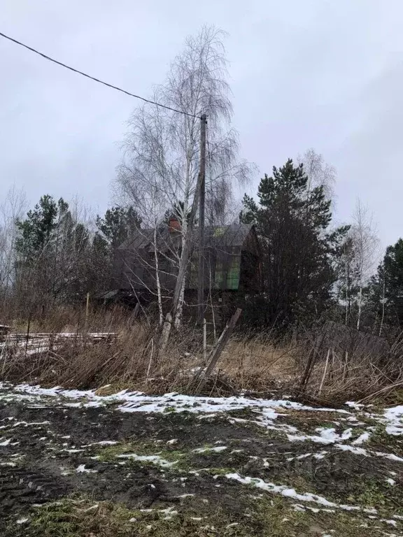 Участок в Томская область, Томский район, д. Козюлино  (13.0 сот.) - Фото 1