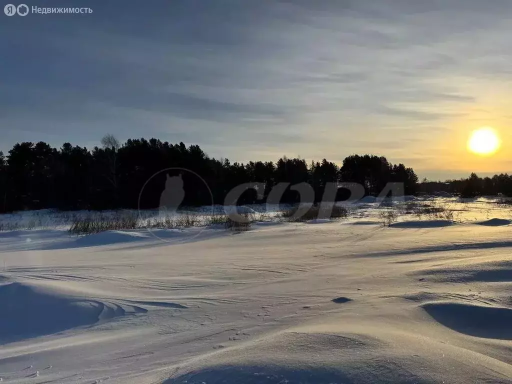 Участок в Тюменский муниципальный округ, деревня Криводанова (12 м) - Фото 1