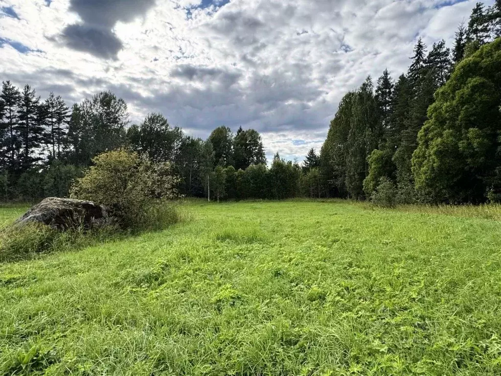 Участок в Ленинградская область, Выборгский район, Каменногорское ... - Фото 2