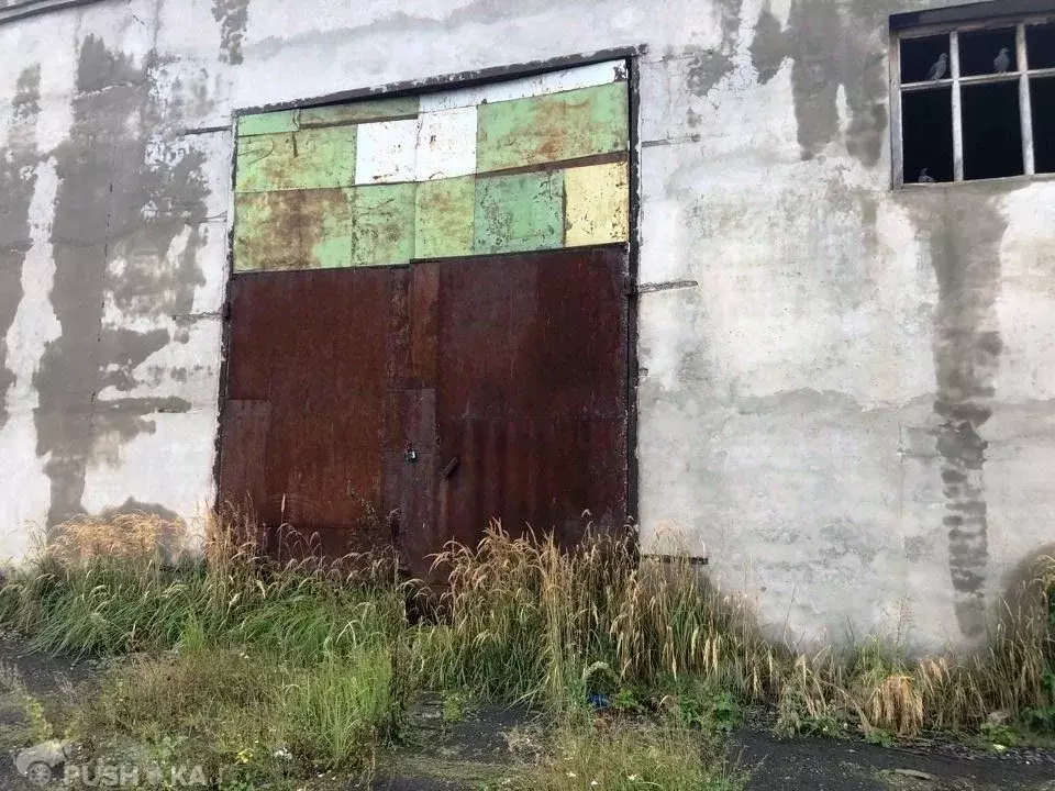 Производственное помещение в Брянская область, Севск ул. Фокина, 52 . - Фото 1