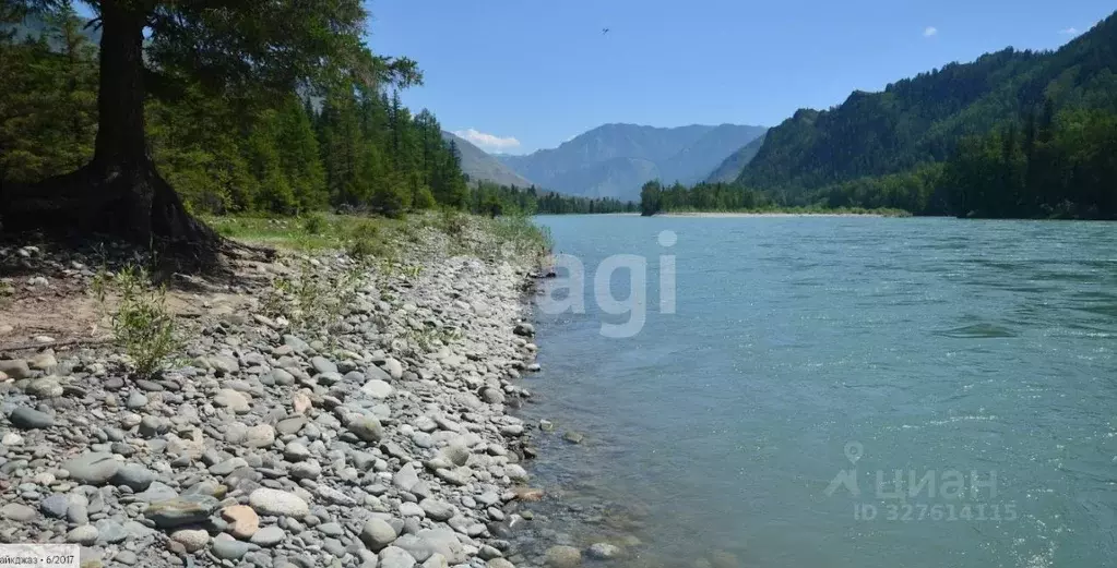 Участок в Алтай, Усть-Коксинский район, с. Тюнгур  (20.0 сот.) - Фото 2
