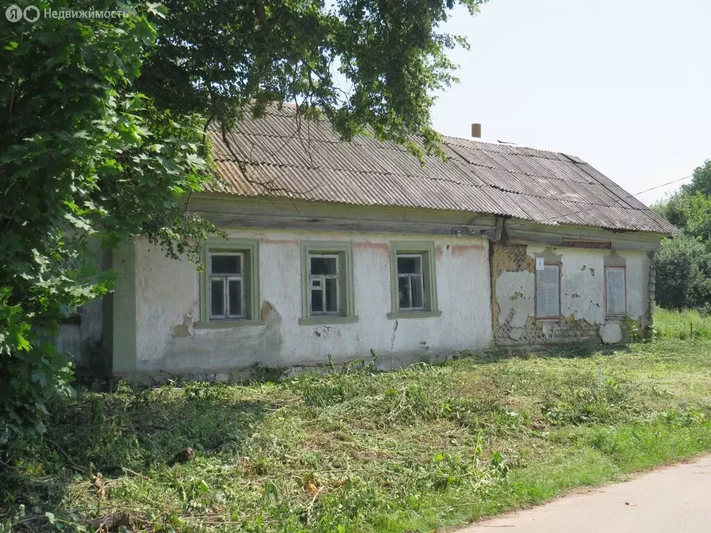 Дом в Московская область, муниципальный округ Зарайск, деревня ... - Фото 1