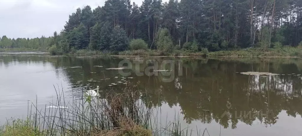 Участок в Брянская область, Карачев  (1937.0 сот.) - Фото 1