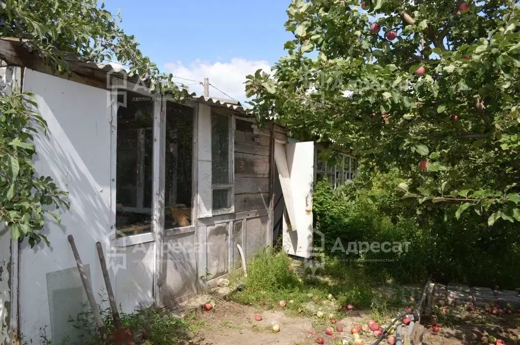 Дом в Волгоградская область, Волгоград Сластена СНТ,  (30 м) - Фото 1