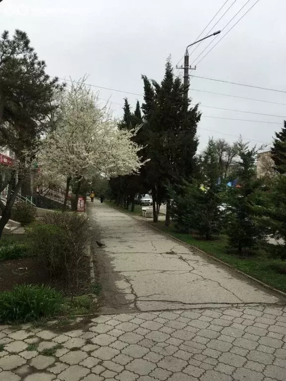 1-комнатная квартира: Евпатория, улица Фрунзе, 50 (45 м) - Фото 1