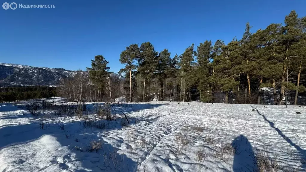 Участок в Чемальский район, Элекмонарское сельское поселение, село ... - Фото 2