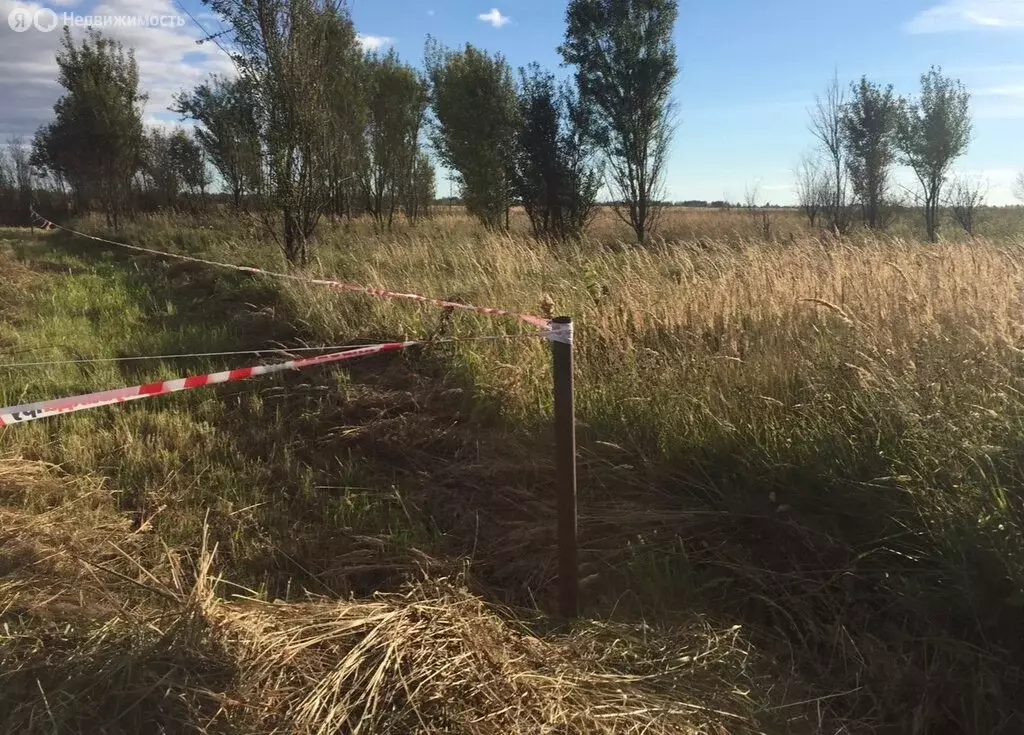 Участок в Псковский район, Завеличенская волость, деревня Борисовичи, ... - Фото 1