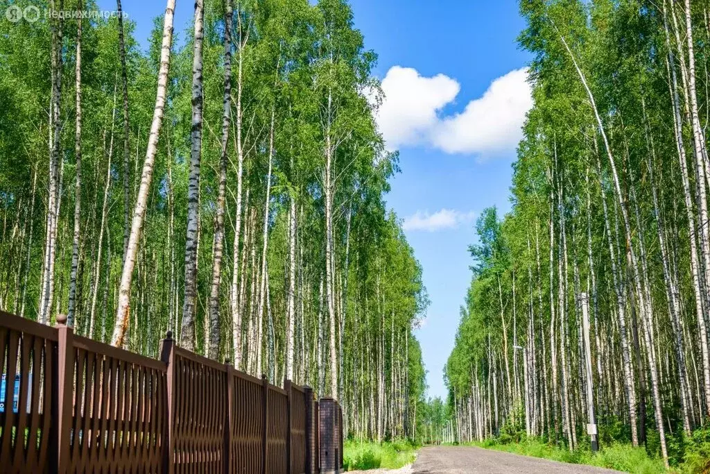 Участок в Московская область, городской округ Ступино, деревня ... - Фото 0