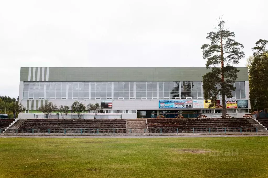 Помещение свободного назначения в Нижегородская область, Бор ул. ... - Фото 1