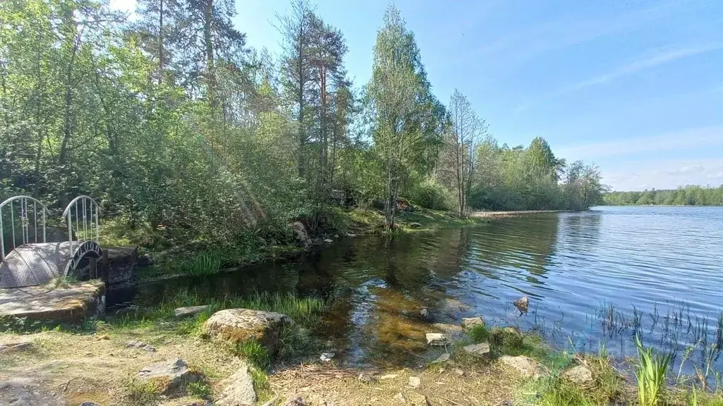 Участок в Ленинградская область, Приозерский район, Кузнечнинское ... - Фото 0