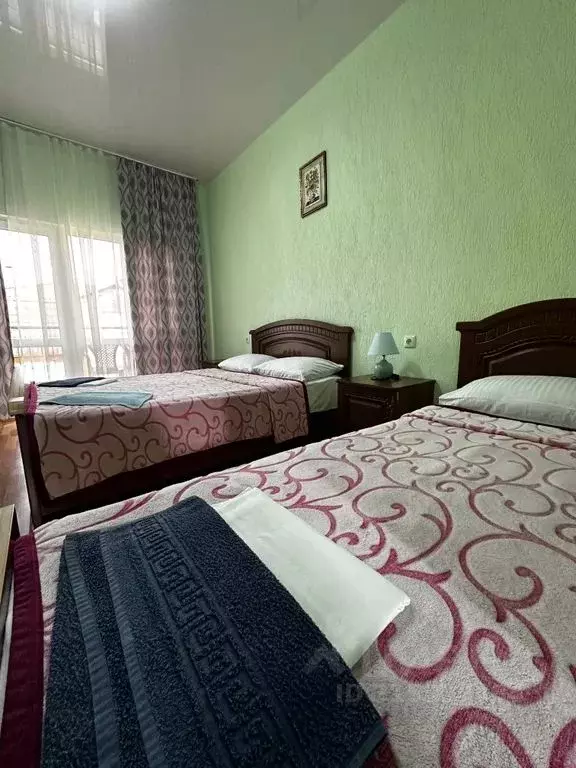 Комната Краснодарский край, Сочи ул. Мартовская, уч241 - Фото 2