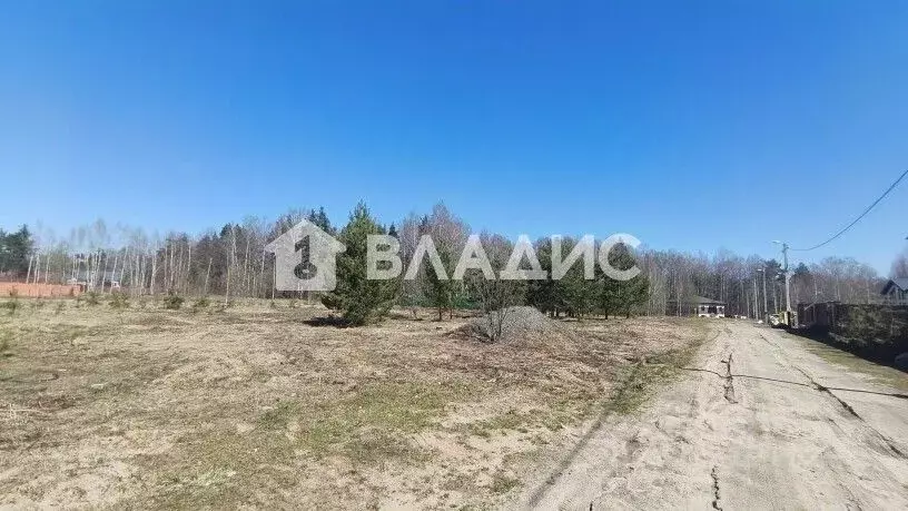 Участок в Владимирская область, Владимир д. Никулино, ул. Извилистая ... - Фото 1