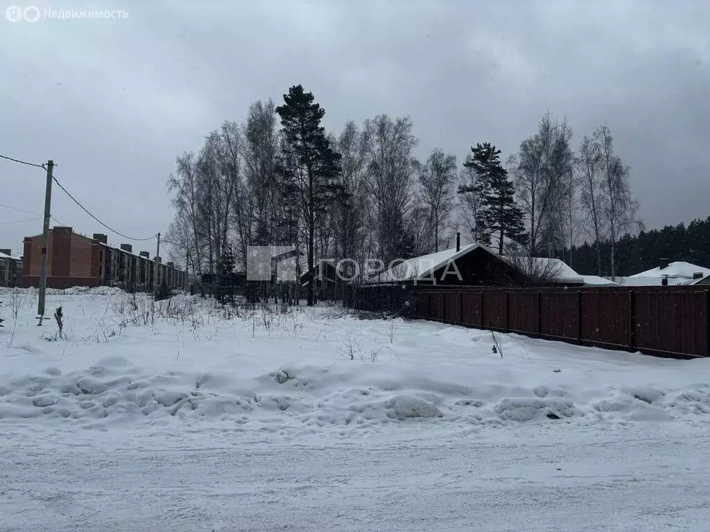 Участок в Мочищенский сельсовет, посёлок Озёрный, Берёзовая улица (10 ... - Фото 2