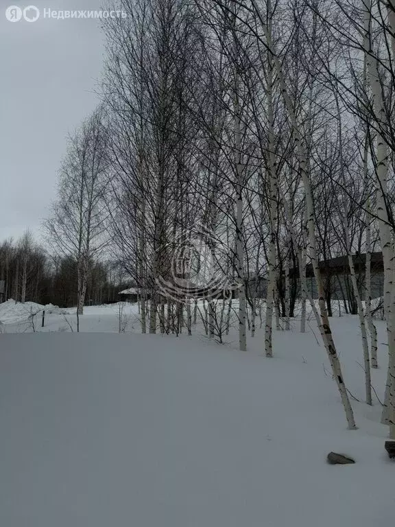 Участок в Барнаул, Кофейный проезд, 2 (7.02 м) - Фото 1