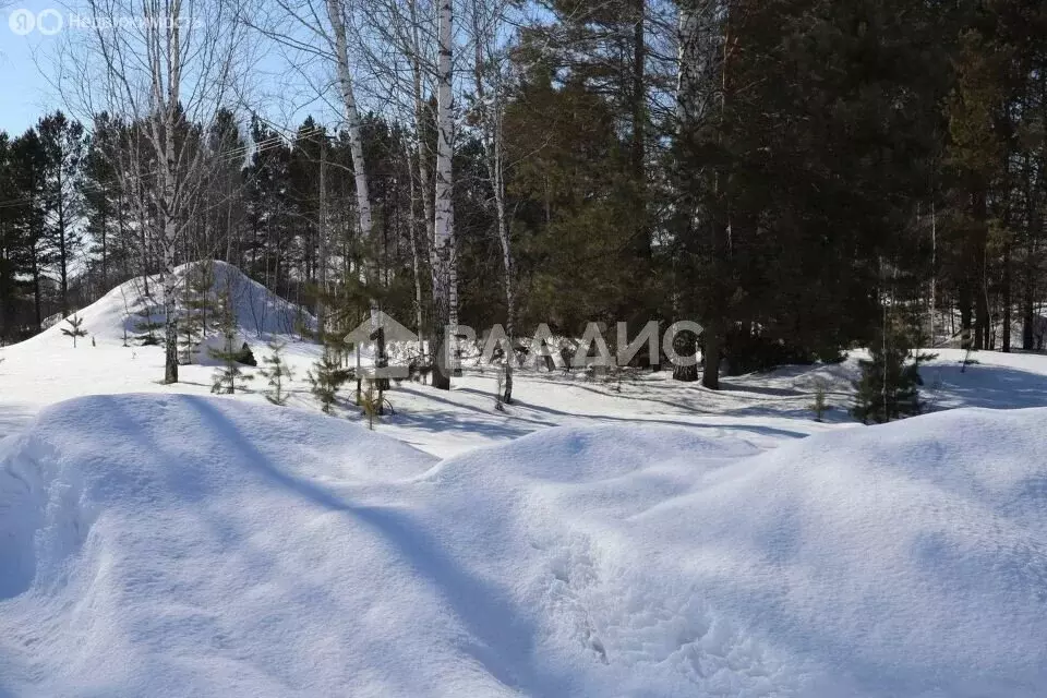 Участок в Колыванский район, СТ Луговое (1239 м) - Фото 0