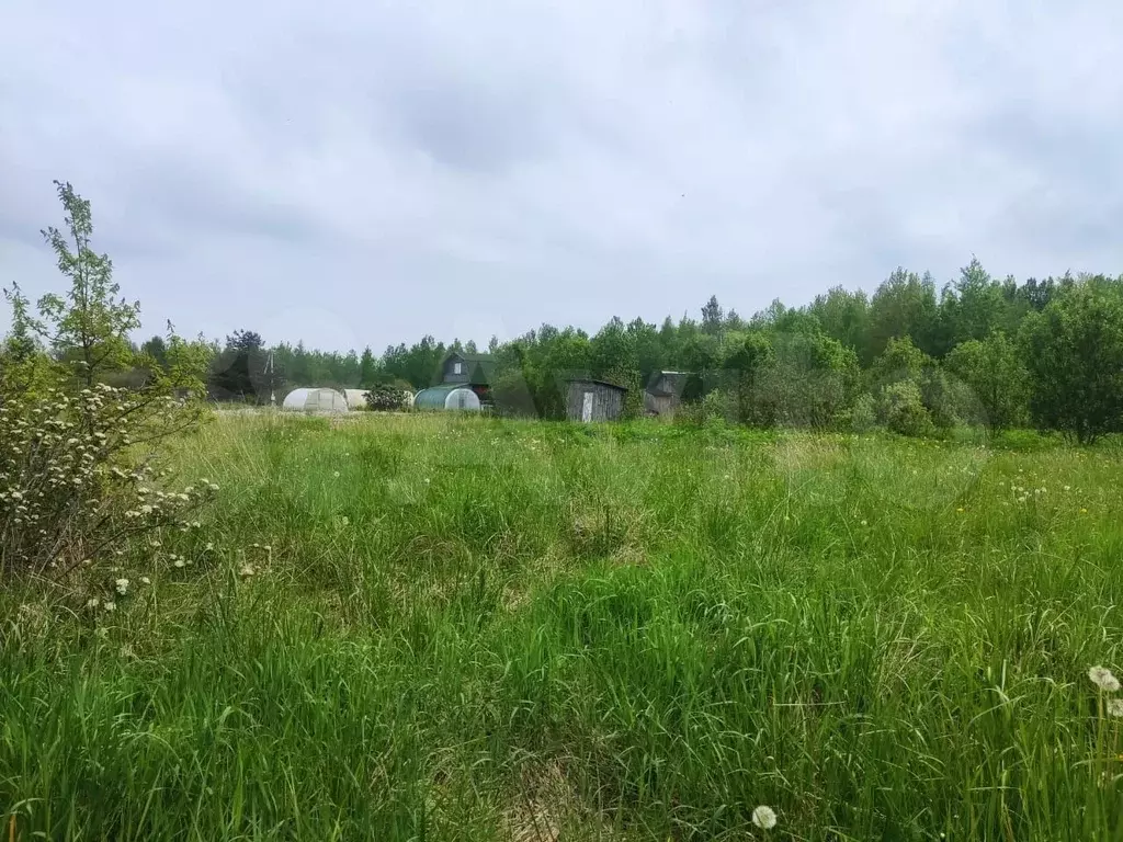 Участок 10 сот. (СНТ, ДНП) - Фото 0