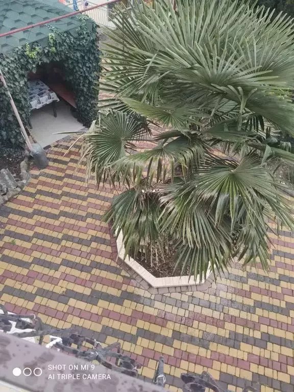 Комната Крым, Судак ул. Маршала Еременко, 23 - Фото 2