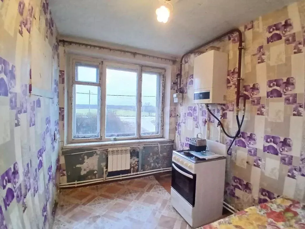 1-к кв. Ленинградская область, Волховский район, Староладожское с/пос, ... - Фото 1