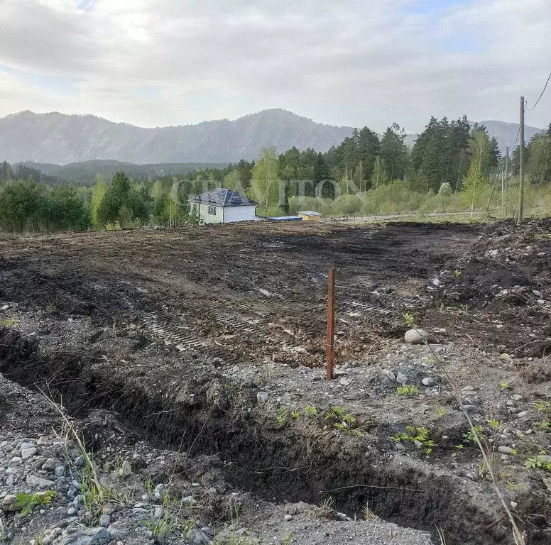 Участок в Алтай, Майминский район, Манжерокское с/пос, с. Озерное ул. ... - Фото 2