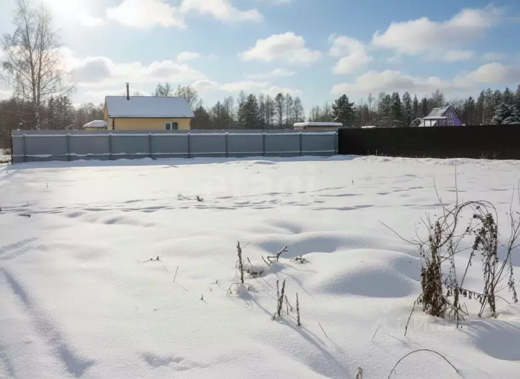 Участок в Московская область, Талдомский городской округ, д. Карманово ... - Фото 1