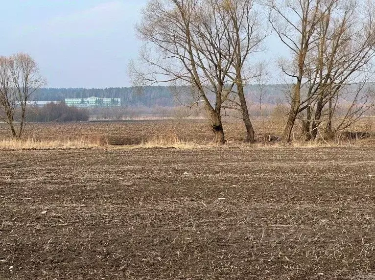 Участок в Московская область, Кашира городской округ, пос. Большое ... - Фото 0