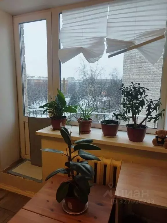 1-к кв. Санкт-Петербург пер. Декабристов, 8 (31.2 м) - Фото 2