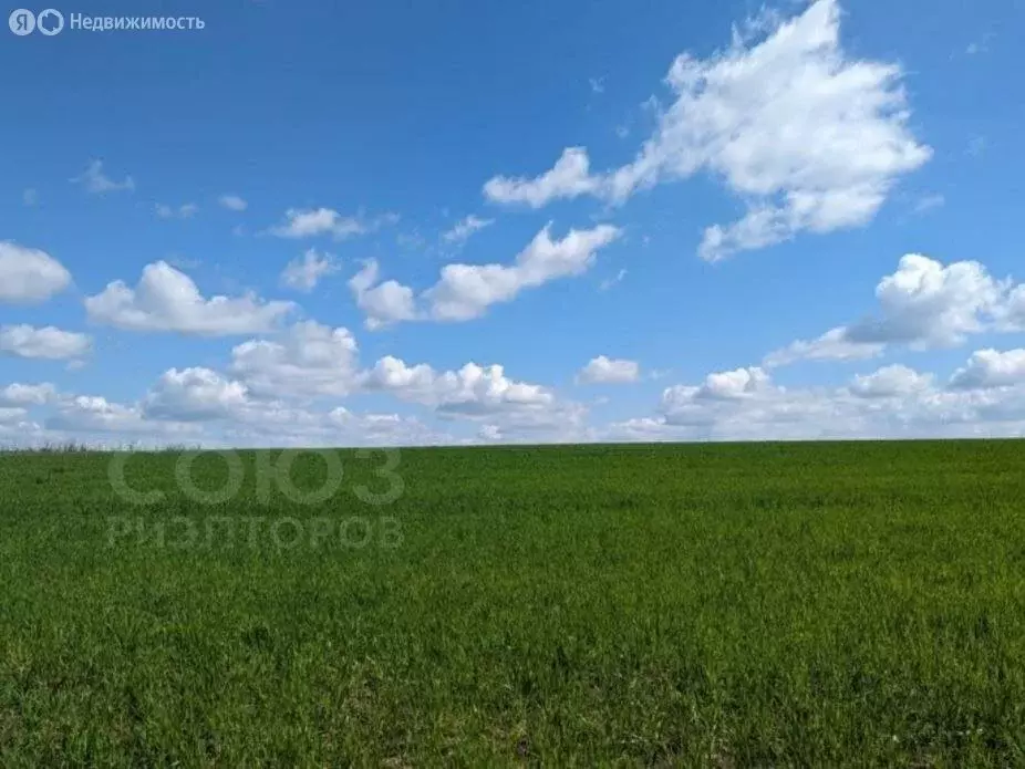 Участок в Медведевское сельское поселение (55779 м) - Фото 0