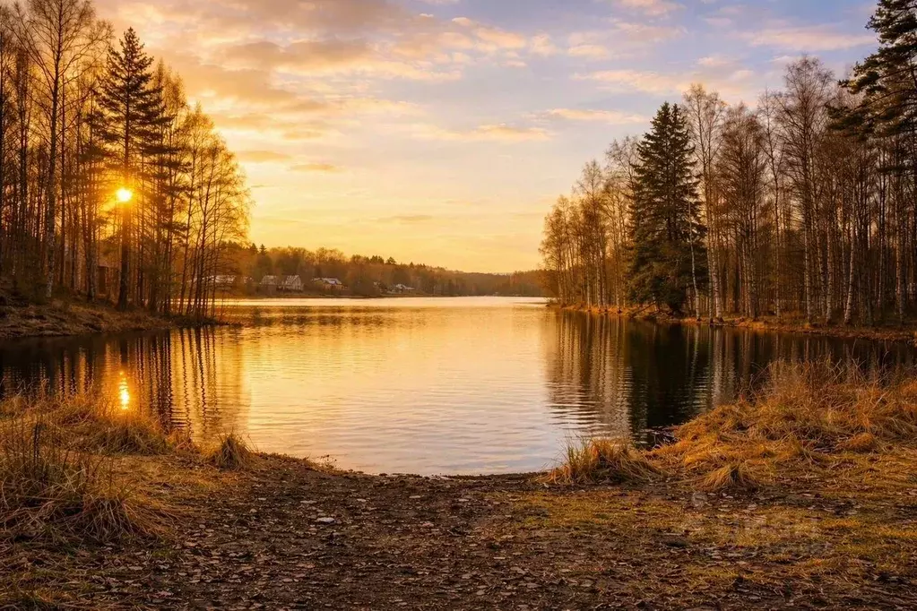 Участок в Ленинградская область, Приозерский район, Красноозерное ... - Фото 2
