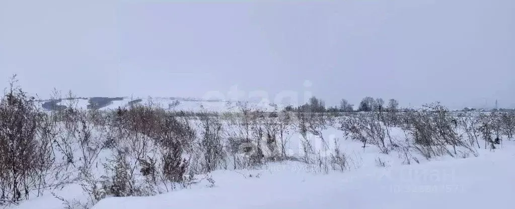Участок в Липецкая область, Добровский муниципальный округ, с. ... - Фото 2