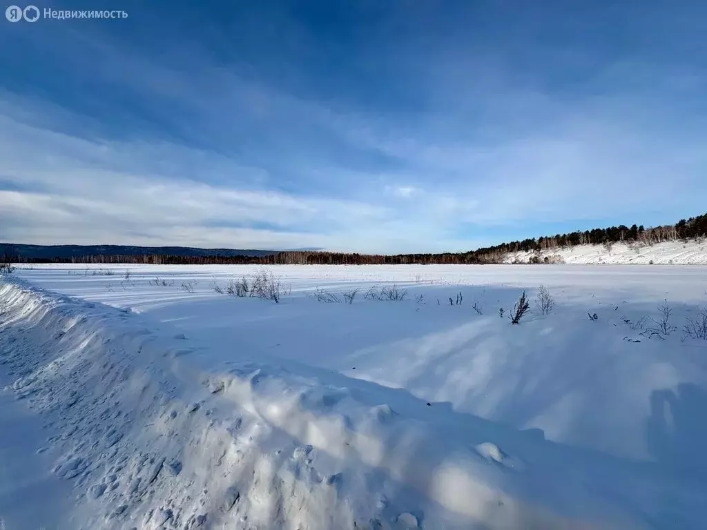 Участок в Баклашинское муниципальное образование, посёлок Пионерск (10 ... - Фото 1